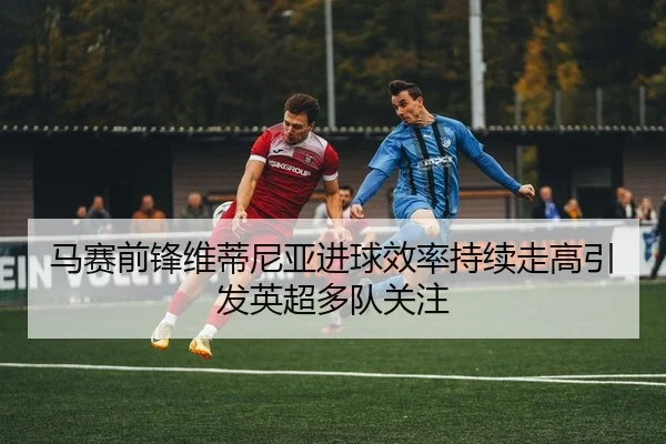 img_1780611854330_75_1_957.jpg
